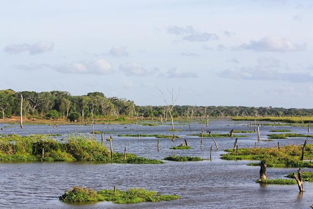 Wilpattu National Park